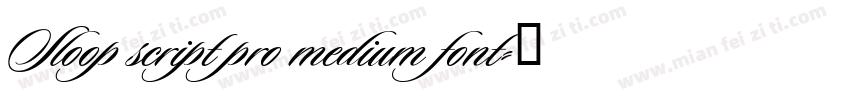 Sloop script pro medium font字体转换